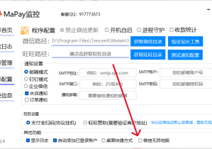 PC自挂协议全网独家 / 无封号 无异地使用教程
